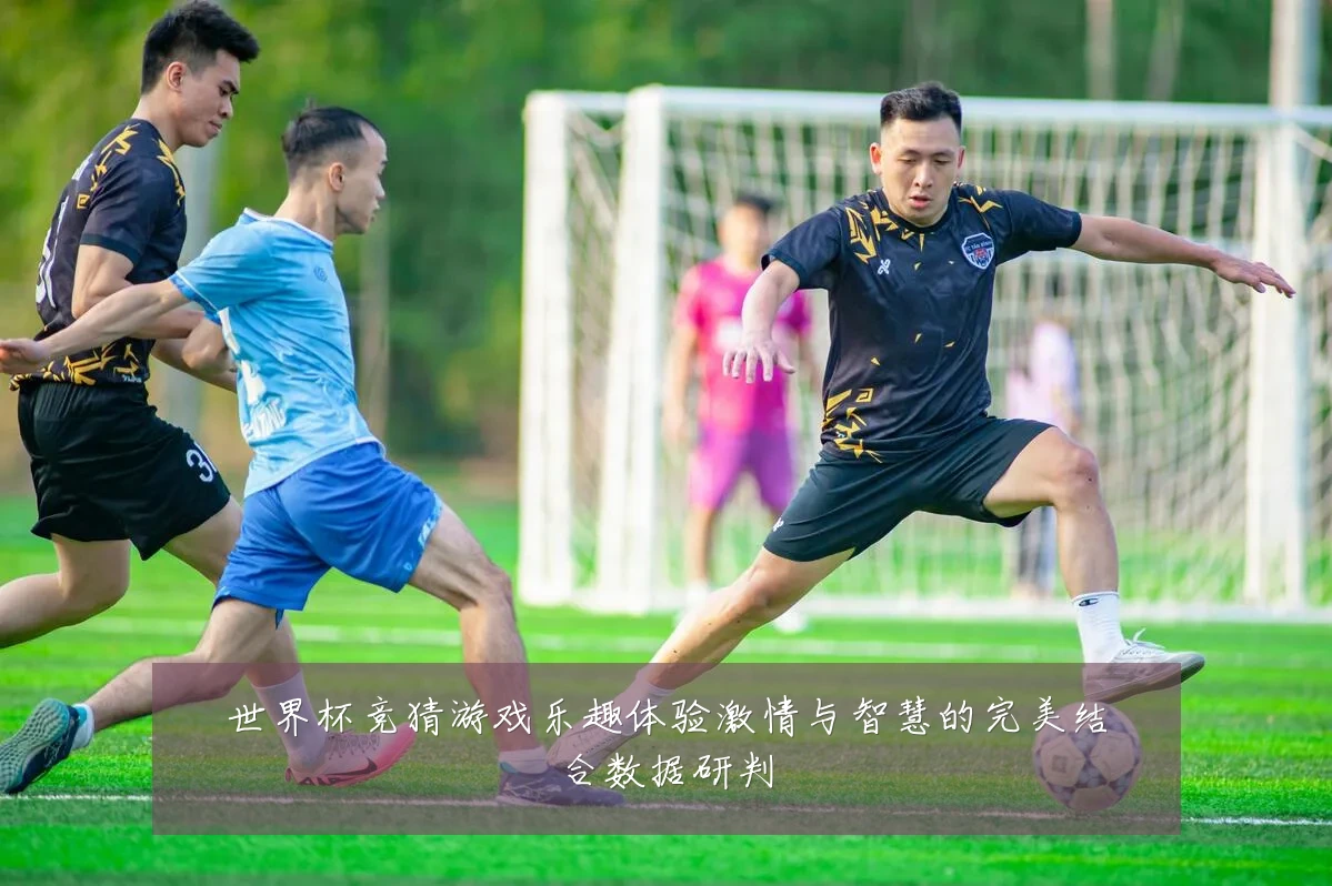 世界杯竞猜游戏乐趣体验激情与智慧的完美结合数据研判